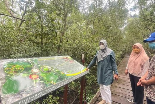 Berkunjung ke Wisata Kampung Baru Mangrove, Asri dan Lepas Penat - GenPI.co KALTIM