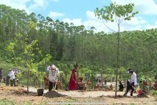 Jokowi ke IKN Nusantara Bikin Harga Tanah Naik, Berapa Angkanya? - GenPI.co KALTIM