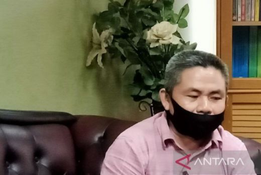 Warga di Kaltim Mengeluhkan Tiang PLN dari Kayu, Kok Bisa? - GenPI.co KALTIM