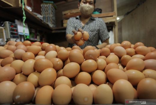 Susul Minyak Goreng, Telur hingga Daging Mulai Merangkak Naik - GenPI.co KALTIM