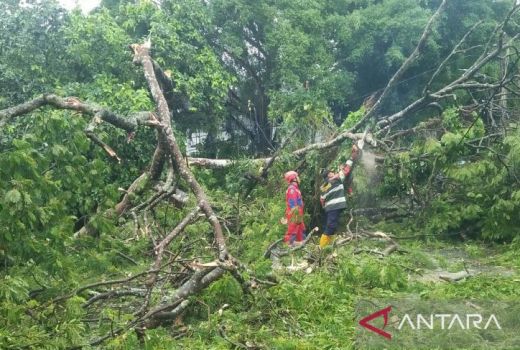 BMKG Bunyikan Alarm, Warga Kaltim Diimbau Waspada - GenPI.co KALTIM