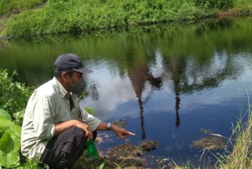 Satu Perusahaan Sawit di Kabupaten Paser Disanksi, Ada Apa? - GenPI.co KALTIM