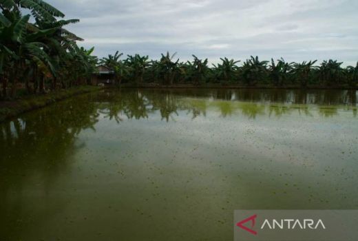 IKN Pindah Kaltim, Kabupaten Ini Gerak Cepat, Apa Itu? - GenPI.co KALTIM