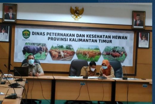 Muncul Penyakit Mulut dan Kuku, Kaltim Nyalakan Alarm Waspada! - GenPI.co KALTIM