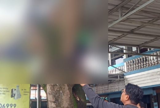 Istri Minta Mangga, Suami Panjat Pohon dan Tersengat Listrik - GenPI.co KALTIM