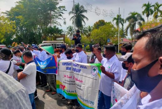 Petani Sawit di Kaltim Gelar Demo, Lihat Tuntutannya - GenPI.co KALTIM