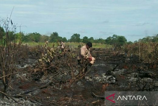 Hutan Setengah Hektare di Penajam Kebakaran, Lihat Kondisinya - GenPI.co KALTIM