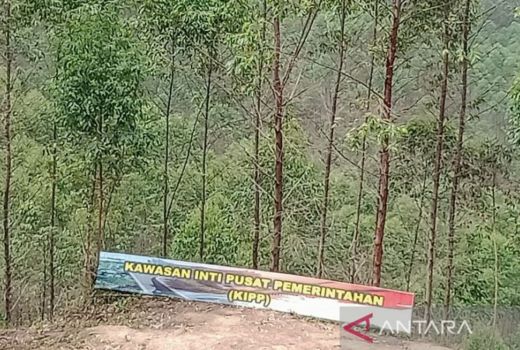Banyak Lahan Kawasan Inti Ibu Kota Negara Tidak Ada Suratnya - GenPI.co KALTIM