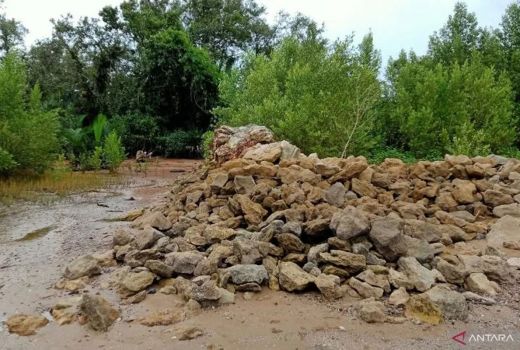 Kawasan Sekitar IKN Nusantara Mengkhawatirkan, Abrasi Parah - GenPI.co KALTIM