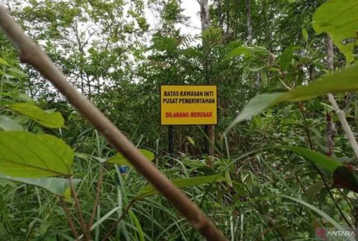 Otorita Ibu Kota Nusantara Didesak Beri Kompensasi ke Warga - GenPI.co KALTIM
