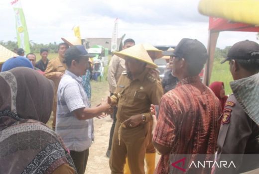 Petani Penajam Paser Utara Ada Imbauan Penting dari Bupati, Perhatikan! - GenPI.co KALTIM