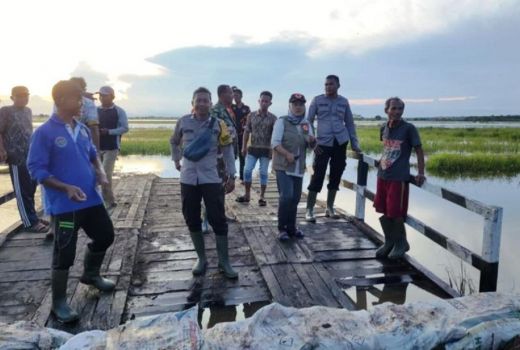 Ratusan Hektare Sawah di Penajam Paser Utara Kebanjiran - GenPI.co KALTIM