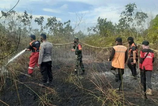 Waspada, Ada 22 Titik Api di Kaltim Terdeteksi Hari Ini - GenPI.co KALTIM