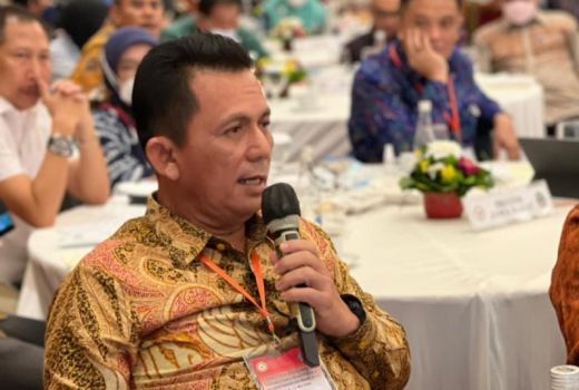 Pembentukan Daerah Otonom Baru Jangan Sampai Mengancam Kedaulatan - GenPI.co KEPRI
