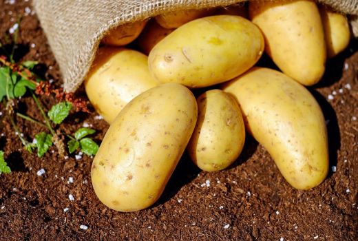 Rekomendasi Makanan Penurun Hipertensi yang Mudah Ditemukan - GenPI.co KEPRI