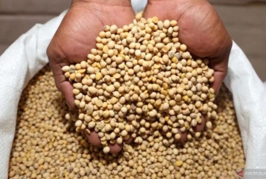 Aneka Pilihan Camilan Sehat dan Aman untuk Penderita Diabetes - GenPI.co KEPRI