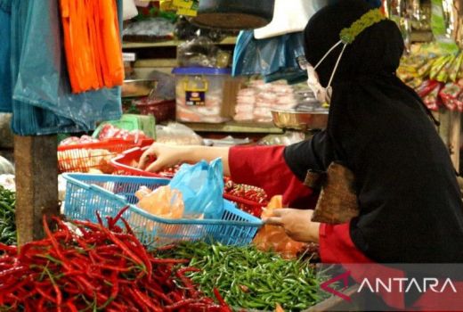 Pedas! Harga Cabai Setan di Batam Tembus Rp120 Ribu - GenPI.co KEPRI