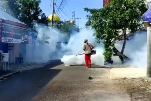 Sepanjang 2022 Ada 137 Kasus DBD di Tanjung Pinang - GenPI.co KEPRI