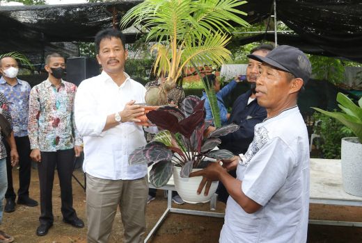 Pemilik Tanaman Hias Kena Pelebaran Jalan, Jangan Resah Kata Rudi - GenPI.co KEPRI