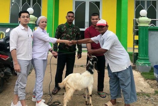 Rayakan Iduladha Harris Resort Barelang Kurban 1 Kambing - GenPI.co KEPRI