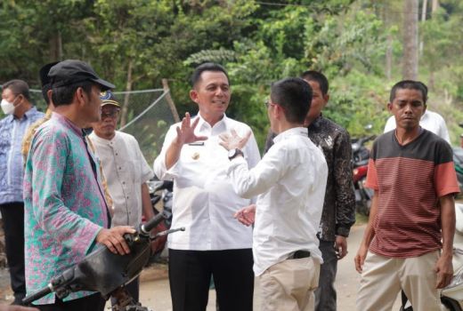 Presiden Jokowi Berikan 2 Ekor Sapi untuk Kepri - GenPI.co KEPRI