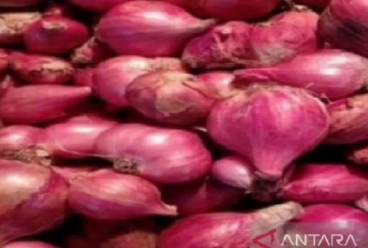 Rekomendasi Obat Diabetes Herbal, Gula Darah Langsung Turun - GenPI.co KEPRI