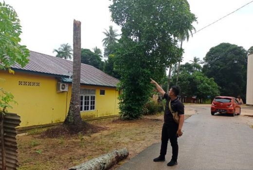 Cuaca Buruk, Siswi SMA Tertimpa Pohon Kelapa, Nasibnya Kini - GenPI.co KEPRI
