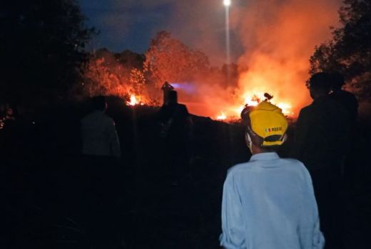 Satu Hektare Lahan di Bintan Terbakar, Ini Dugaan Penyebabnya - GenPI.co KEPRI