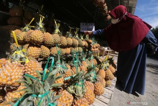3 Manfaat Nanas, Salah Satunya Turunkan Kolesterol, Dahsyat! - GenPI.co KEPRI