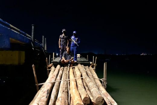 Bawa 200 Kayu Tanpa Dokumen, Warga Sagulung Ditangkap Polisi - GenPI.co KEPRI