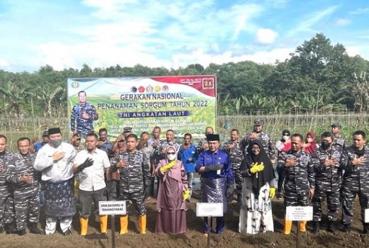 TNI AL Ajak Masyarakat Tanjungpinang Tanam Sorgum - GenPI.co KEPRI