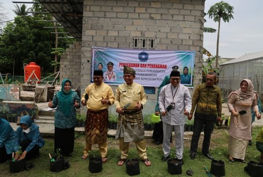 Urban Farming Jadi Upaya Tekan Inflasi dan Ketahanan Pangan - GenPI.co KEPRI