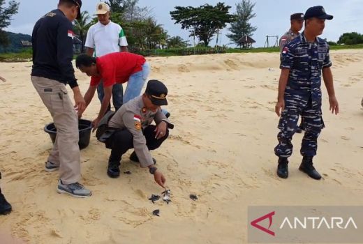 Telur Penyu Ramai Dijual di Natuna, Polisi Tegas - GenPI.co KEPRI