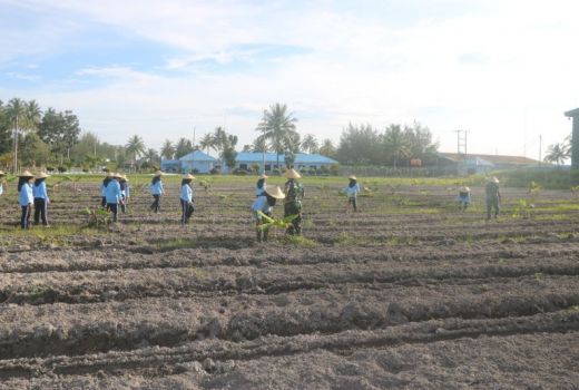 Lanud RSA Manfaatkan Lahan Tidur untuk Ketahanan Pangan - GenPI.co KEPRI