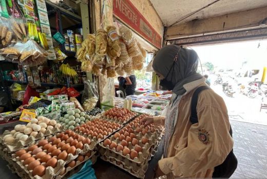 Harga Telur Ayam di Kota Batam Naik Signifikan - GenPI.co KEPRI