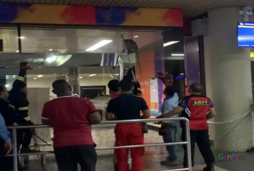 Seekor Monyet Masuk Ke Terminal Kedatangan Bandara Hang Nadim - GenPI.co KEPRI