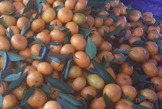Ini Buah-buahan Mujarab Turunkan Kolesterol, Wajib Coba! - GenPI.co KEPRI