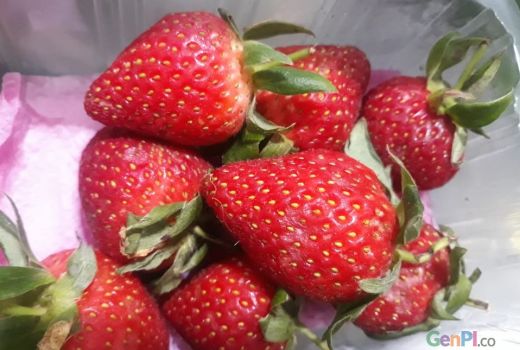 5 Jenis Buah untuk Turunkan Darah Tinggi, Hipertensi Luntur! - GenPI.co KEPRI