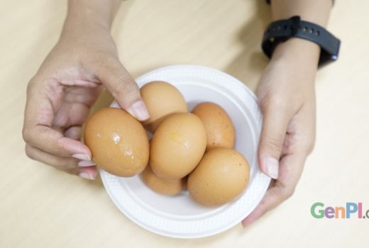 Fakta Terkait Telur yang Perlu Kamu Tahu - GenPI.co KEPRI