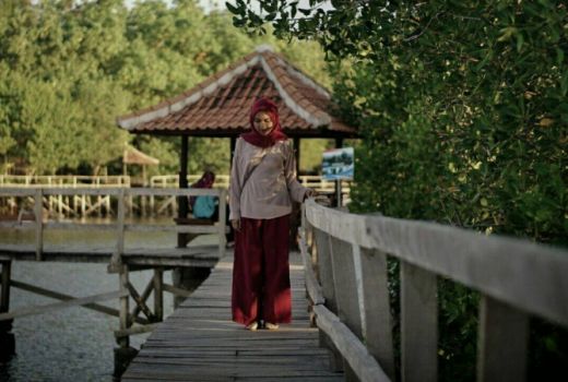Hutan Mangrove, Tujuan Wisata Baru di Lombok - GenPI.co