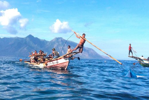 Ini Dia CoE Kabupaten Lembata - GenPI.co