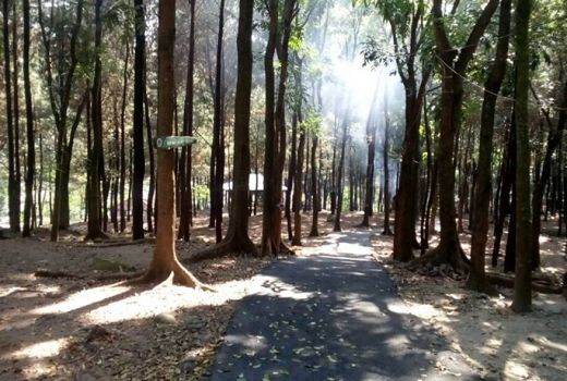 Talaga Pancar, Bakal Lokasi Pasar Digital Majalengka - GenPI.co