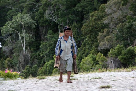 Suka Berpetualang di Hutan? Datanglah Ke TNBNW! - GenPI.co