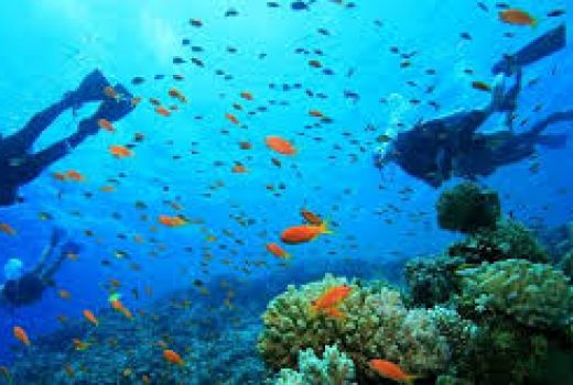 Siap-siap, Akhir tahun Aceh Akan Diserbu Divers Sedunia - GenPI.co