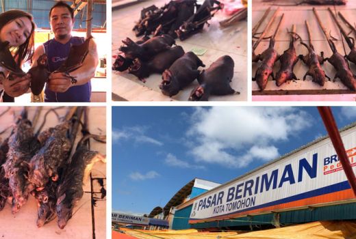 Penasaran Gimana Rasa Daging Kelalawar? Kunjungi Pasar Ini - GenPI.co