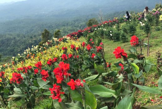 Warna-warni di Puncak Tetetana. - GenPI.co
