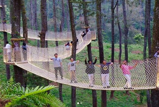 Bukan Anak Jaman Now Kalau Belum ke Orchid Forest Cikole - GenPI.co