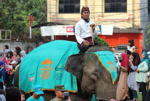 Hanya di Lampung, Gajah Ikut Karnaval - GenPI.co