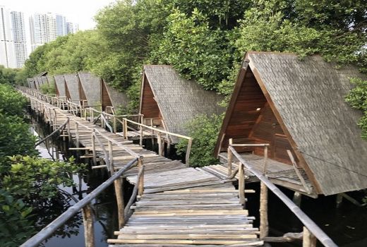 Serunya Sensasi Menginap di Tengah Hutan di Kota Jakarta - GenPI.co