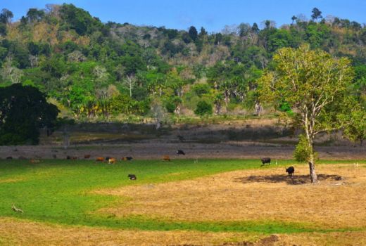 Banyuwangi akan Jadi Geopark Nasional - GenPI.co